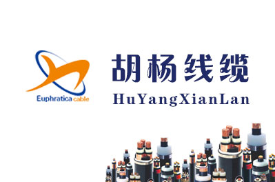 新疆网站建设案例-新疆胡杨线缆制造有限公司